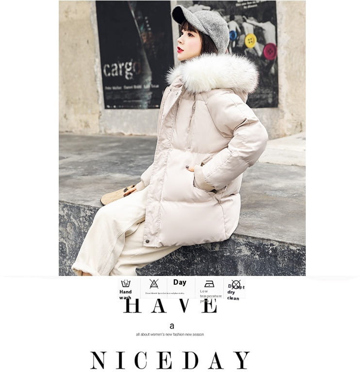 Foreign Trade Elegant Winter Korean Style Slim Fit All-matching Cotton-padded Clothes For Women