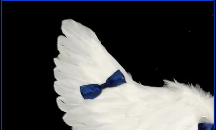 Little Angel Halloween Costume