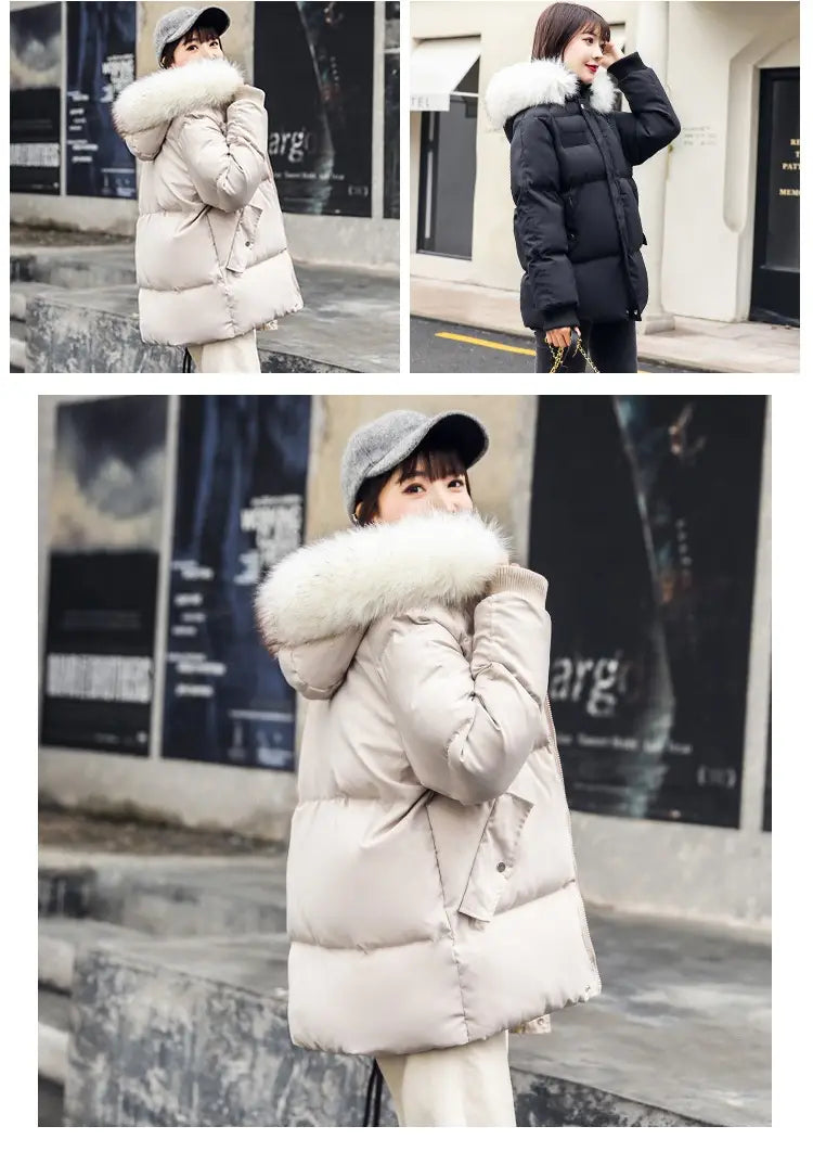 Foreign Trade Elegant Winter Korean Style Slim Fit All-matching Cotton-padded Clothes For Women