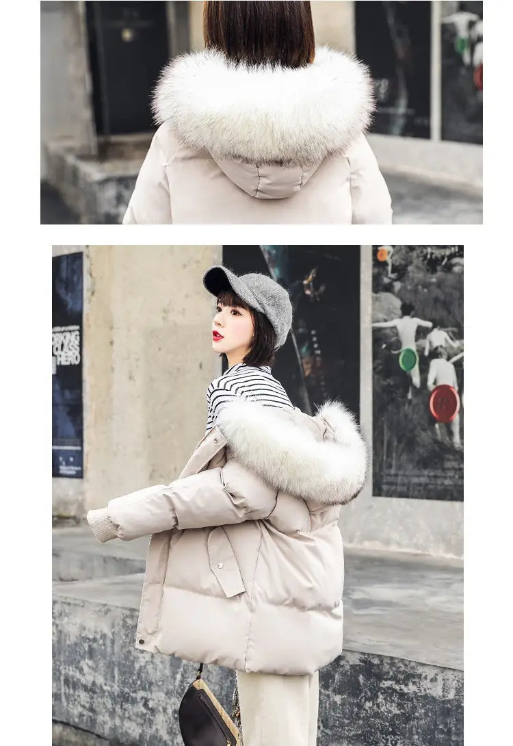 Foreign Trade Elegant Winter Korean Style Slim Fit All-matching Cotton-padded Clothes For Women
