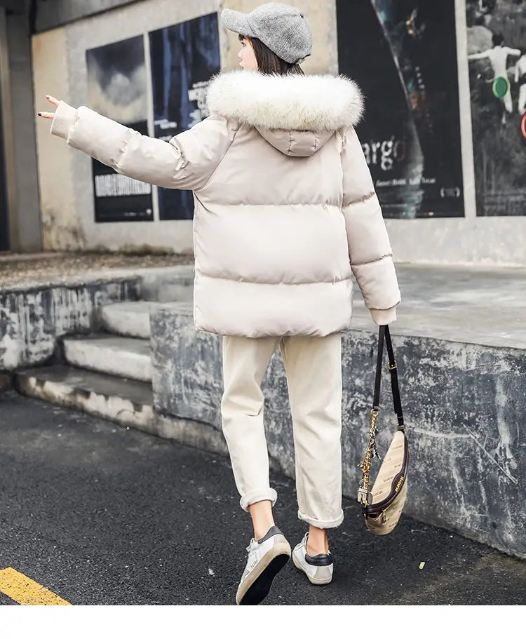Foreign Trade Elegant Winter Korean Style Slim Fit All-matching Cotton-padded Clothes For Women