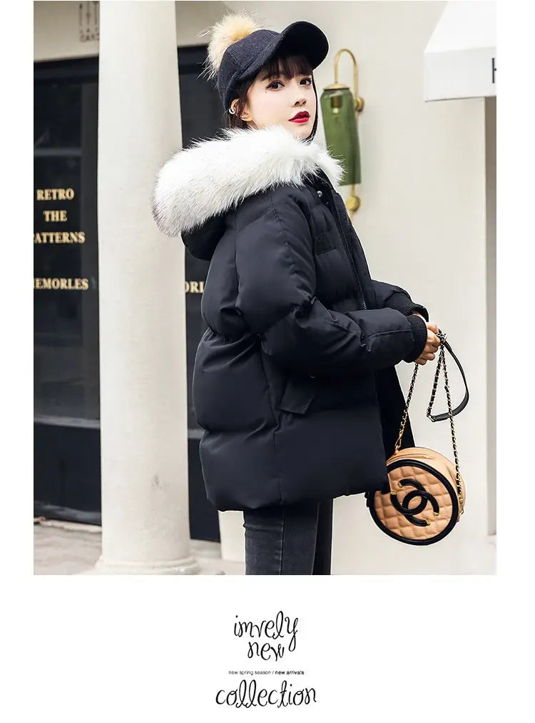 Foreign Trade Elegant Winter Korean Style Slim Fit All-matching Cotton-padded Clothes For Women