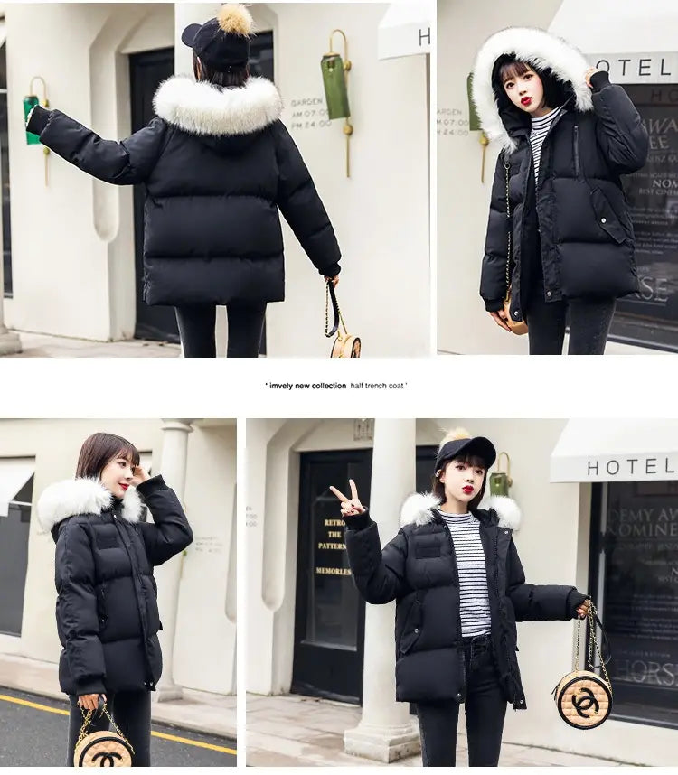 Foreign Trade Elegant Winter Korean Style Slim Fit All-matching Cotton-padded Clothes For Women