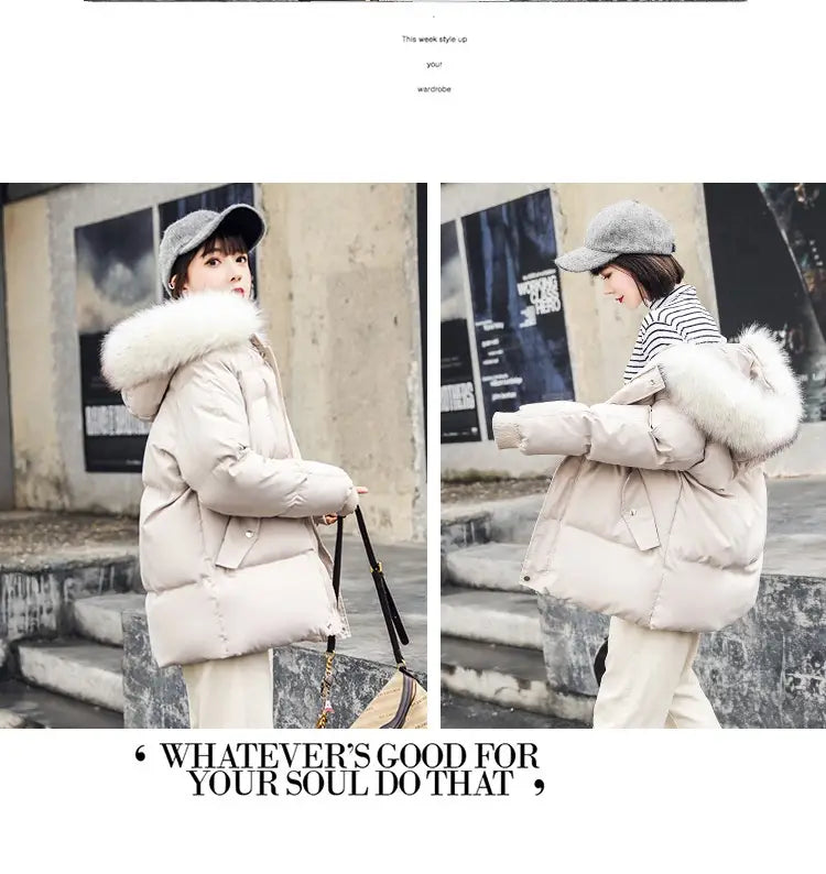 Foreign Trade Elegant Winter Korean Style Slim Fit All-matching Cotton-padded Clothes For Women