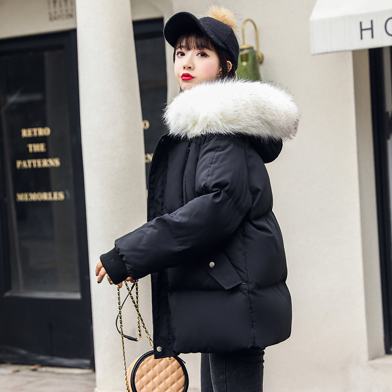 Foreign Trade Elegant Winter Korean Style Slim Fit All-matching Cotton-padded Clothes For Women - N1827 Black / S