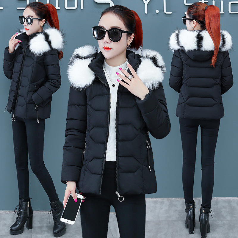 Women’s Short Detachable Large Fur Collar Cotton Coat