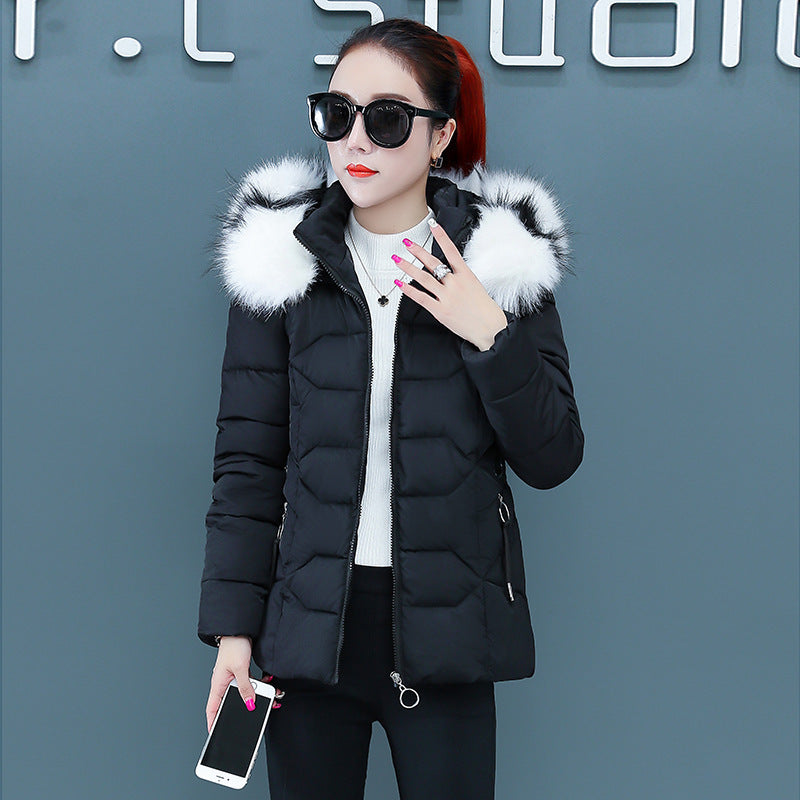 Women’s Short Detachable Large Fur Collar Cotton Coat - Black / M