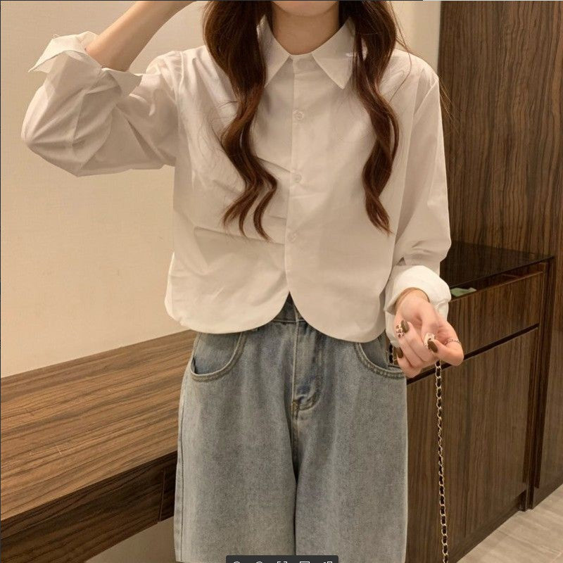French White Shirt Women’s Spring Design Sense Niche Shirt Temperament High Sense Chic Beautiful Short Long Sleeve Top