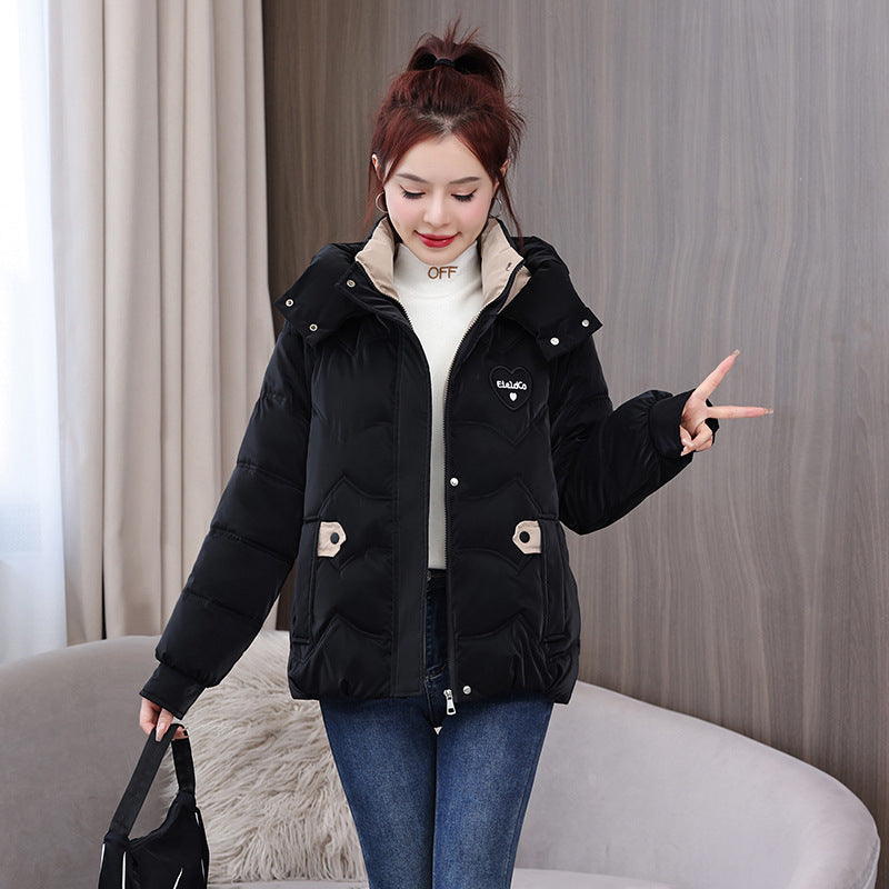Winter Design Sense Thickened Padded Jacket - Black / M