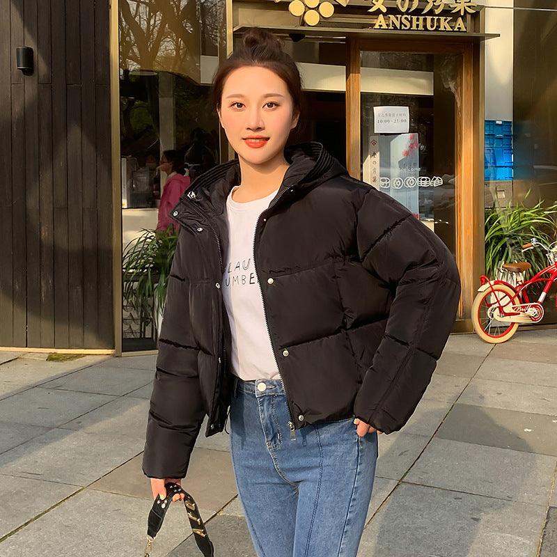 Women’s Simple Casual Hooded Short Down Jacket - Black / M