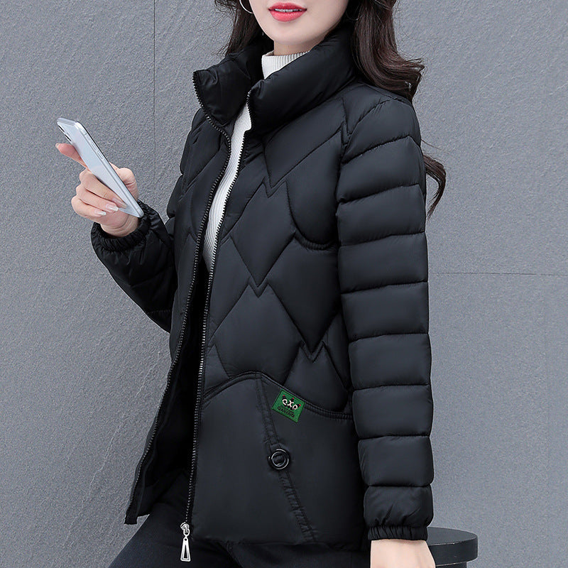 High-end Down Cotton-padded Coat For Women Winter Thickened - Black / L
